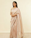 Fawn Stone Embellished Border Saree image number 3