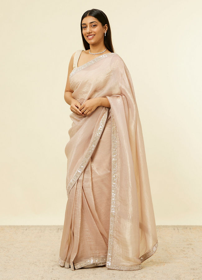 Fawn Stone Embellished Border Saree image number 3