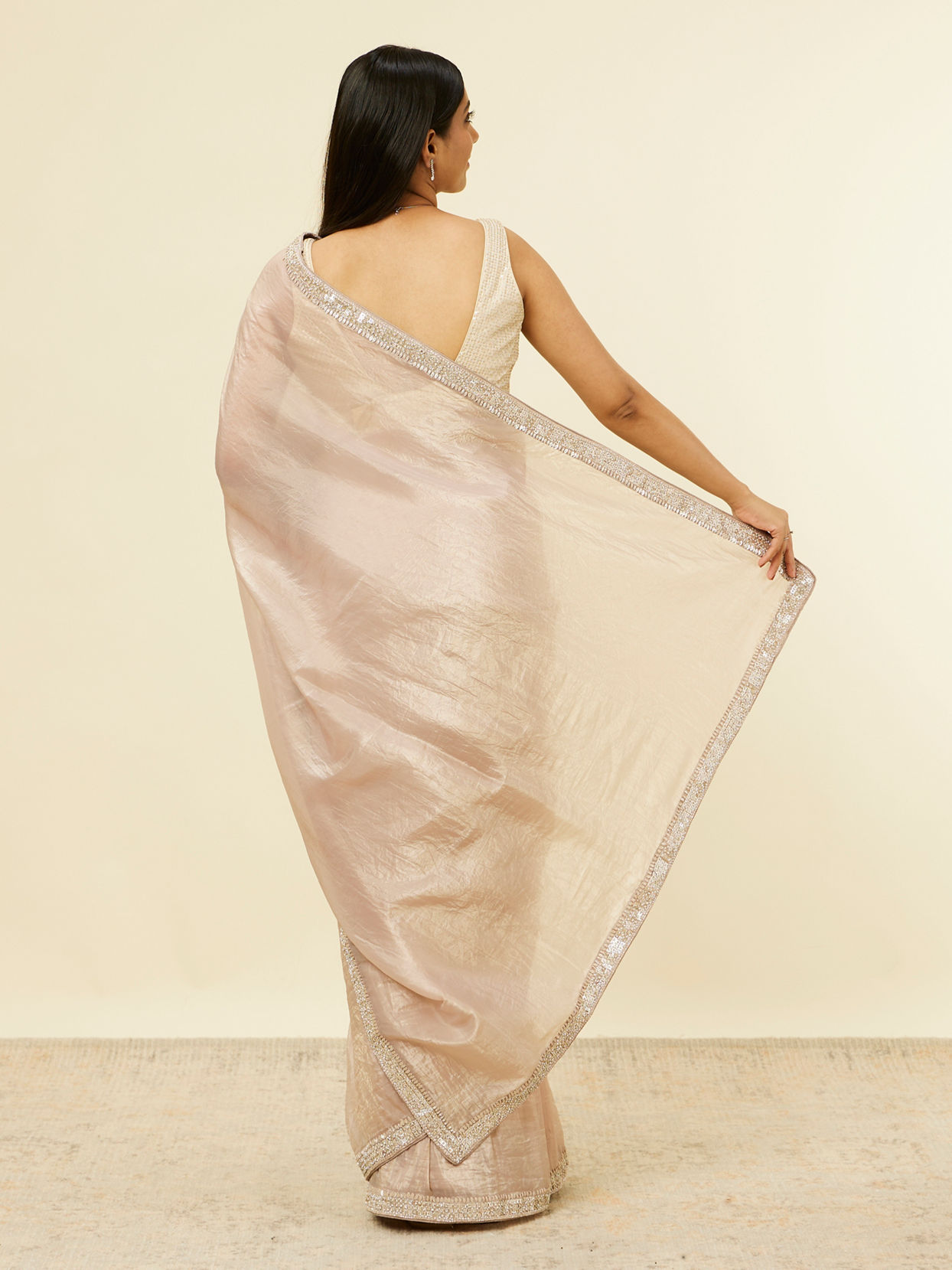 Fawn Stone Embellished Border Saree image number 2