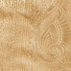 Cream Beige Bel Buti Patterned Saree with Floral Pattern