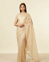 Classic Fawn Stone Embellished Saree