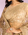Mohey Women Beige Euphoria Net Saree