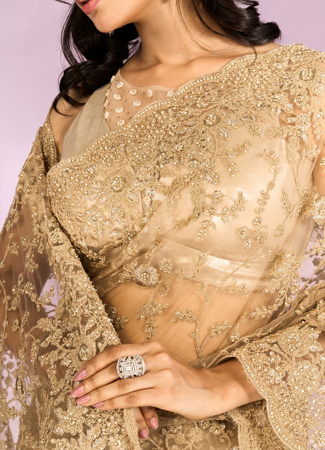 Mohey Women Beige Euphoria Net Saree