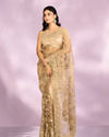 Beige Euphoria Net Saree