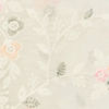 Elegant Cream Organza Saree