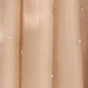 Fawn Elegance Organza Saree