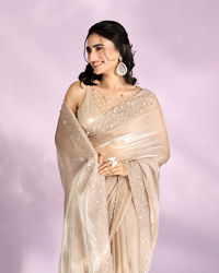 Mohey Women Fawn Elegance Organza Saree