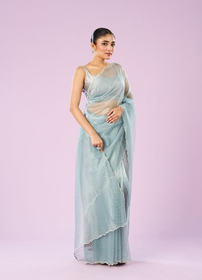 Mohey Women Blue Organza Dynamo Saree