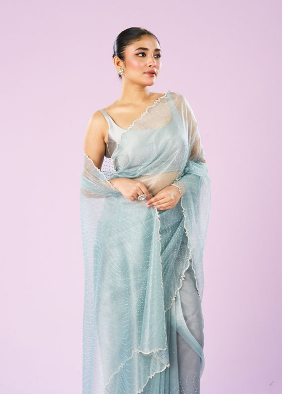 Mohey Women Blue Organza Dynamo Saree