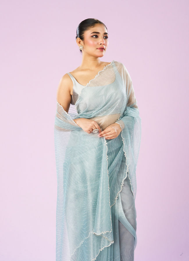 Mohey Women Blue Organza Dynamo Saree