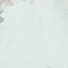 Organza Cream Radiance Saree