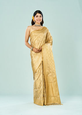 Mohey Women Enchanting Beige Saree