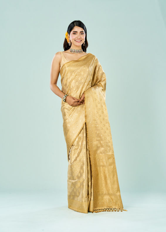 Mohey Women Enchanting Beige Saree