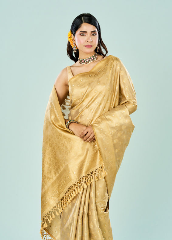 Mohey Women Enchanting Beige Saree