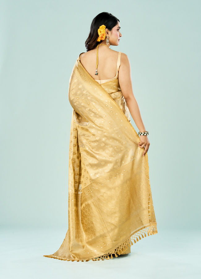 Mohey Women Enchanting Beige Saree