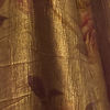 Classy Organza Magic Brown Saree