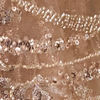 Fawn Net Saree with Moti and Sequin Work