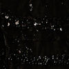 Ebony Black Sequinned Saree with Stone Embellishments