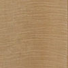 Beige Elegance Chinon Saree
