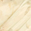 Pista Green Organza Saree