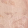 Peach Organza Festive Saree