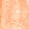 Celestial Orange Charm Saree