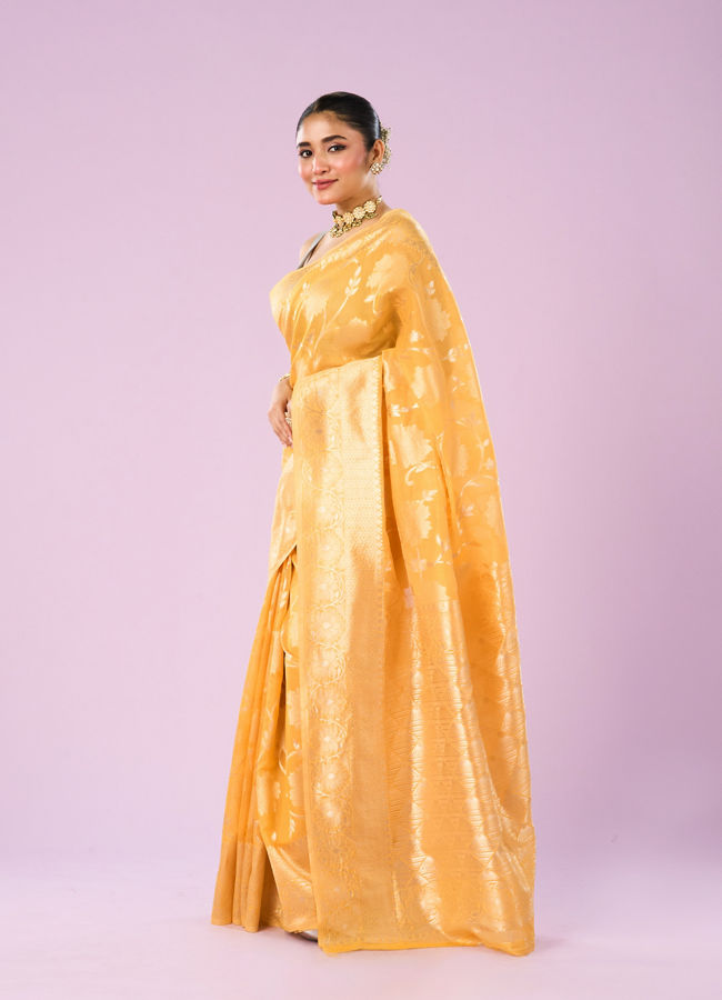 Mohey Women Sunlit Glow Saree