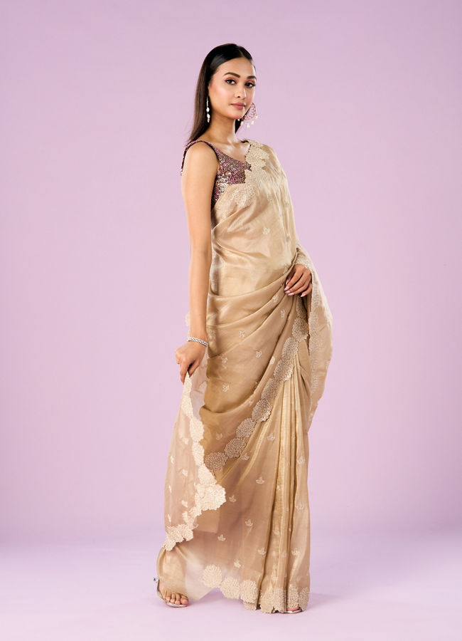 Mohey Women Fawn Chinon Elegance Saree
