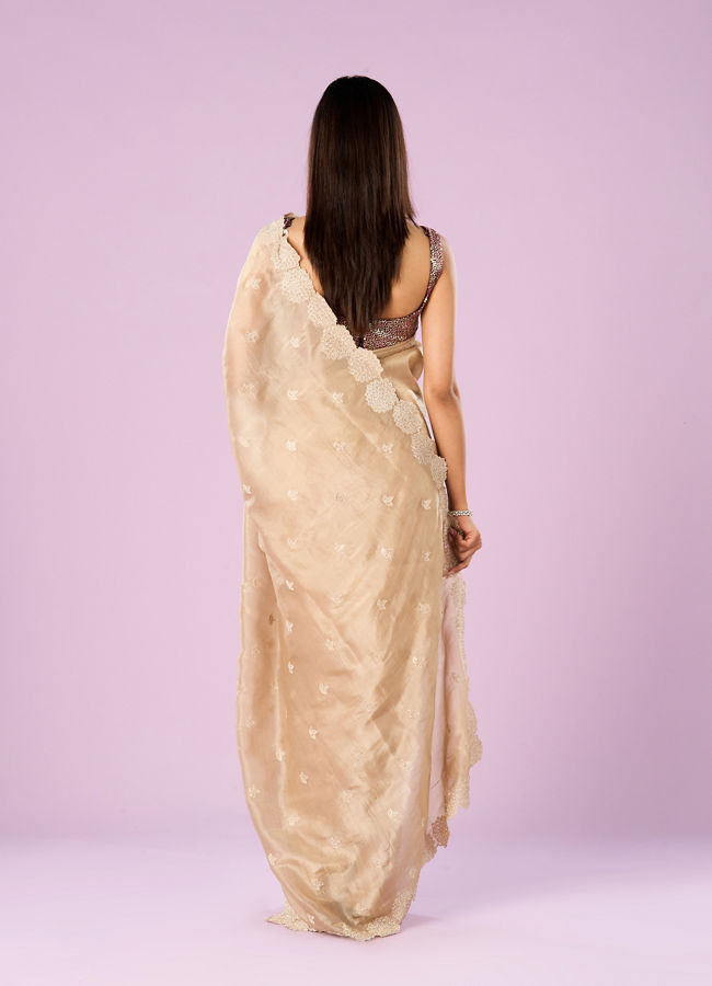 Mohey Women Fawn Chinon Elegance Saree