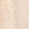 Elegance Redefined Cream Saree