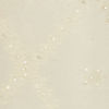 Cream Dream Organza Saree