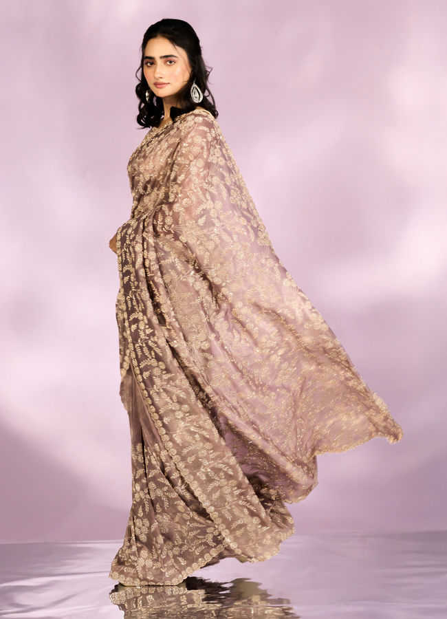 Mohey Women Fawn Enchanted Allure Saree