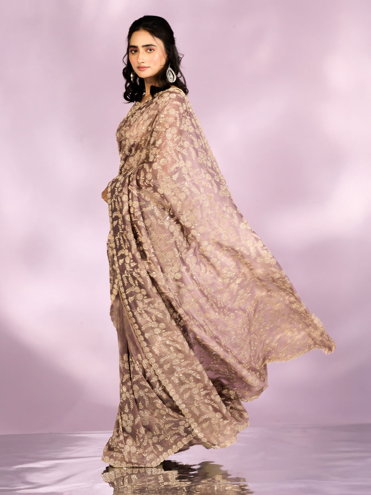 Mohey Women Fawn Enchanted Allure Saree