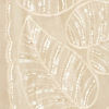 Cream Colored Vision of Elegance Saree