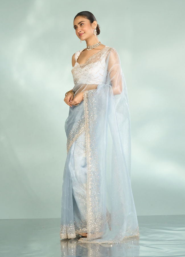 Mohey Women Blue Organza Enchantress Saree