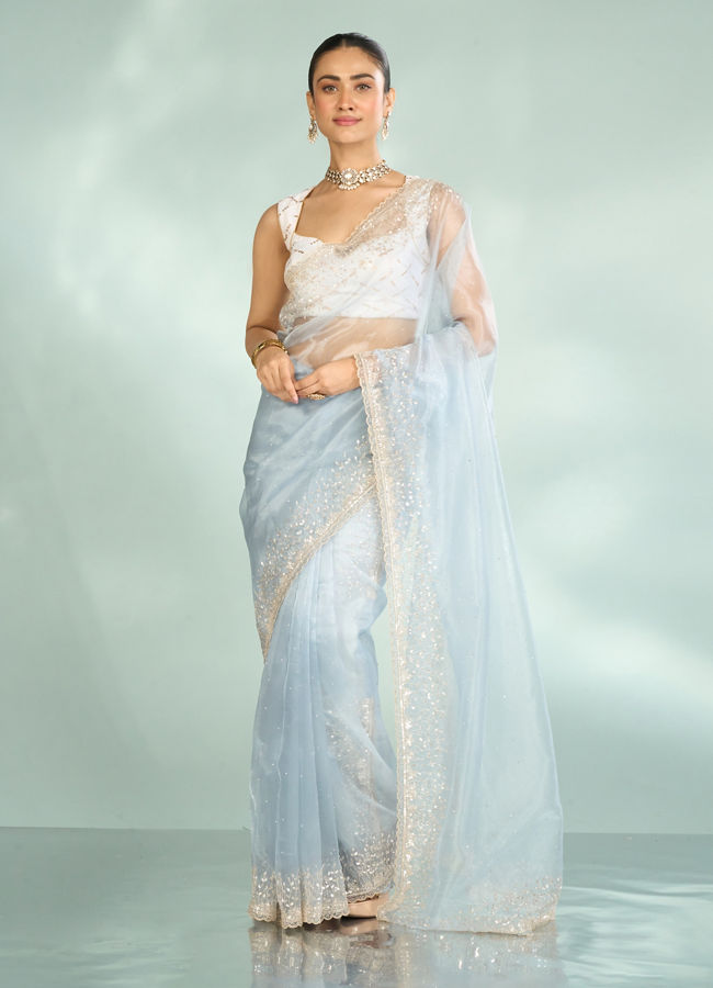 Mohey Women Blue Organza Enchantress Saree