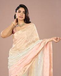 Mohey Women Light Pink-Blue Grandeur Saree