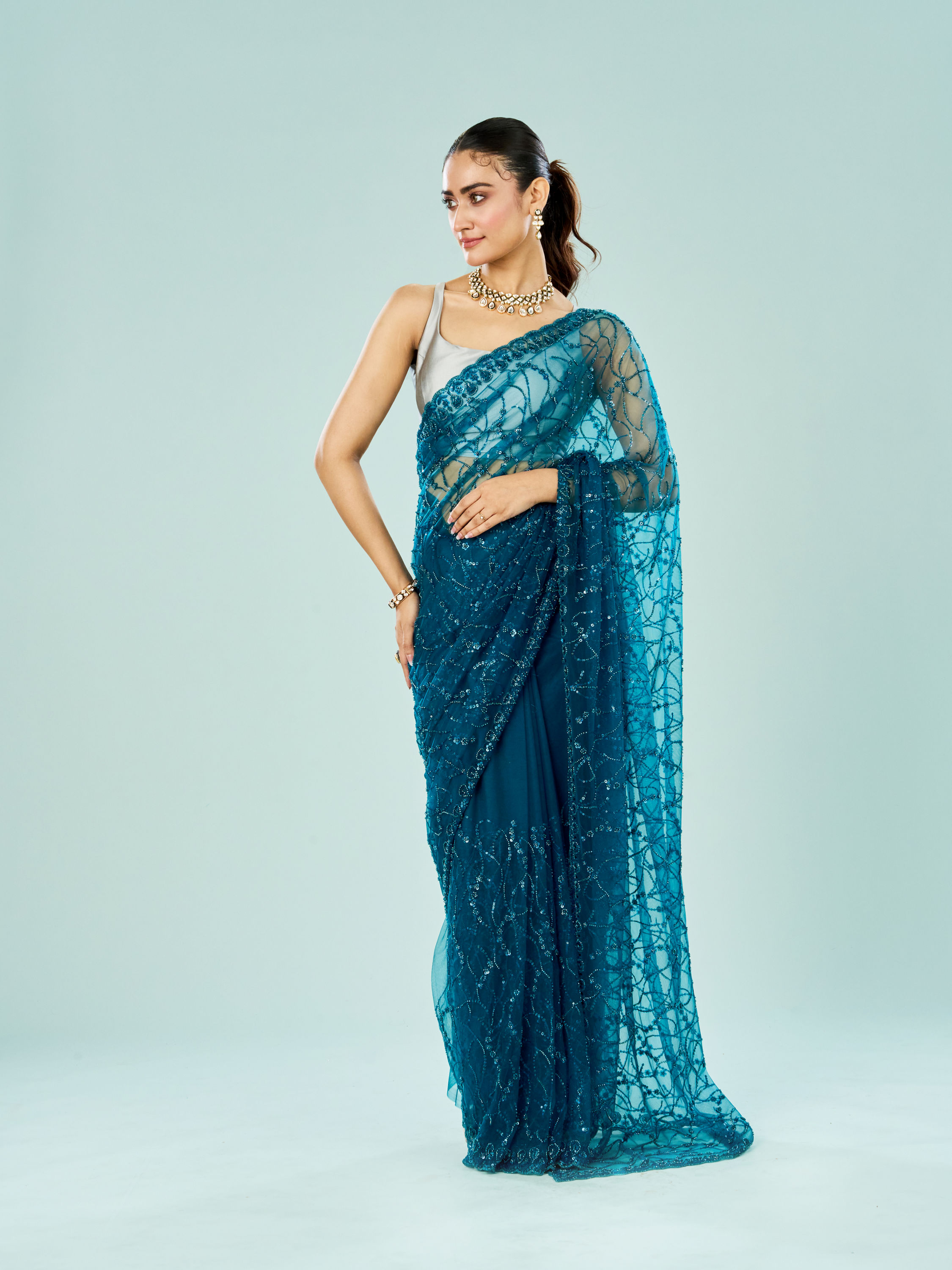 Mohey Women Blue Majesty Net Saree