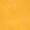 Radiant Yellow Saree