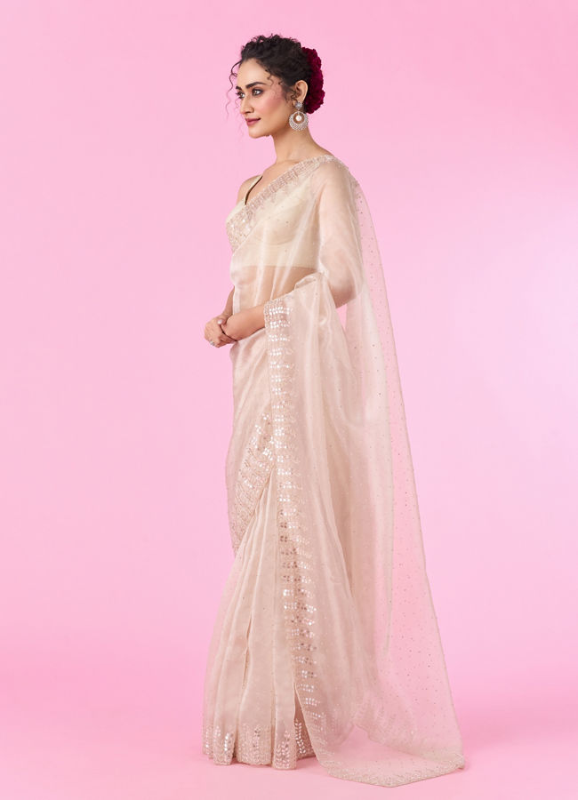 Mohey Women Fawn Elegance Organza Saree