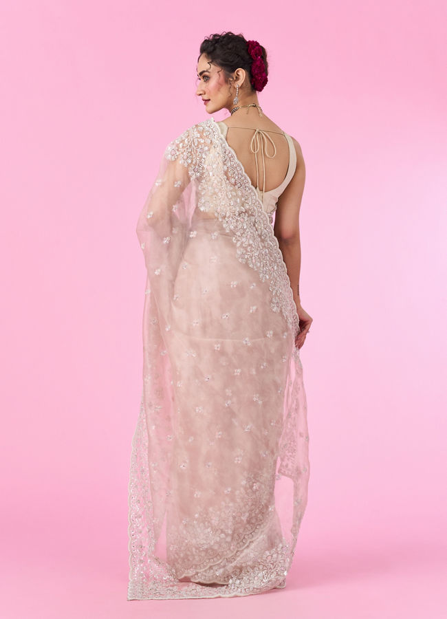 Mohey Women Elegant Fawn Organza Saree