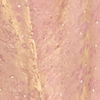 Purple Elegance Organza Saree