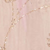 Ornate Cream Organza Saree