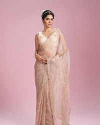 Mohey Women Fawn Organza Elegance Saree