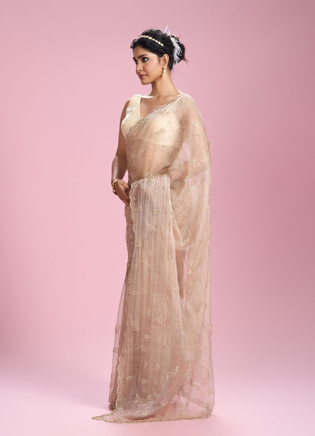 Mohey Women Fawn Organza Elegance Saree
