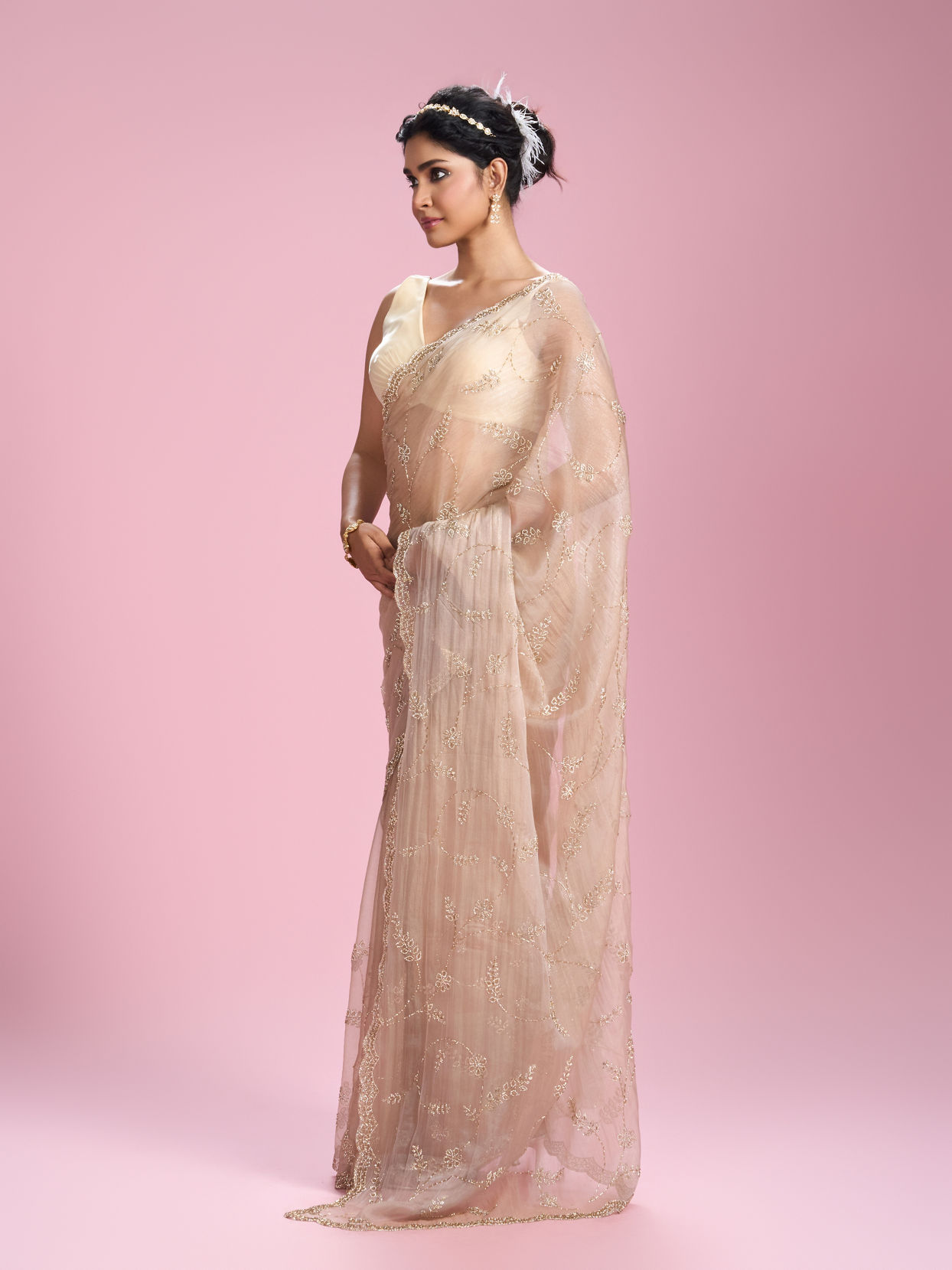 Mohey Women Fawn Organza Elegance Saree
