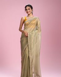 Mohey Women Pistachio Organza Elegance Saree