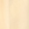 Cream Divine Elegance Saree
