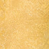 Sun Kissed Radiance Yellow Saree