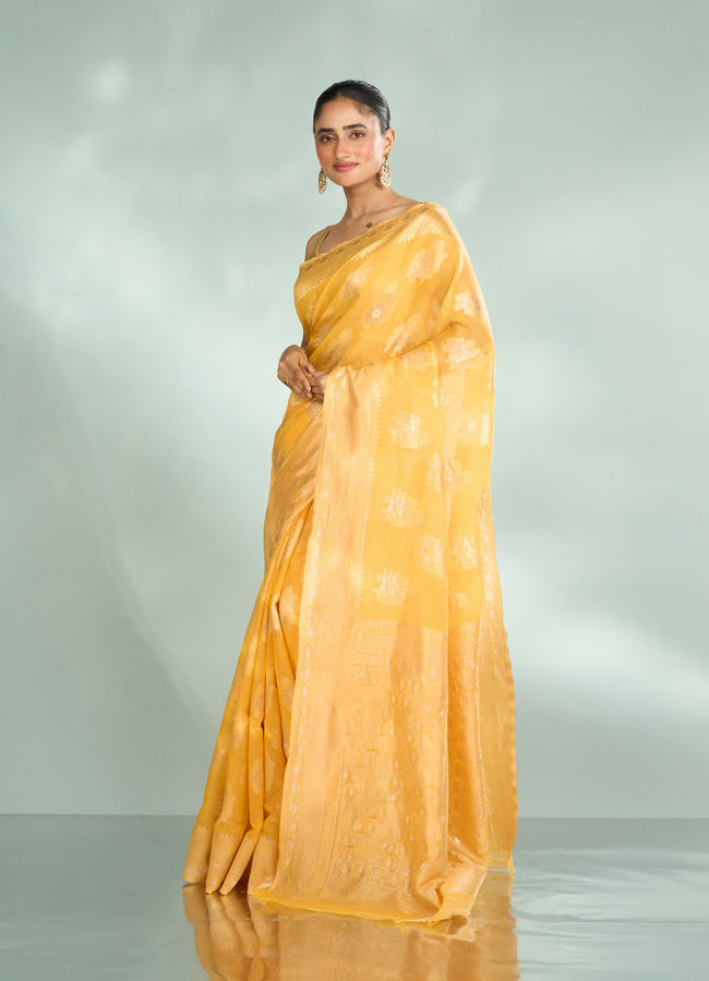 Mohey Women Sunny Elegance Saree